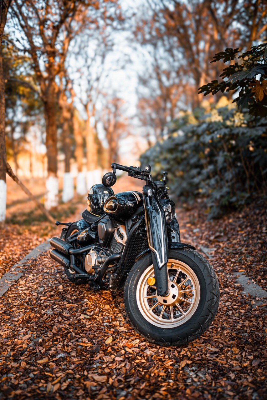 Benda Napoleon 500 Bobber, Phân Phối Chính Hãng, Giá Rẻ Tại Hải Phòng