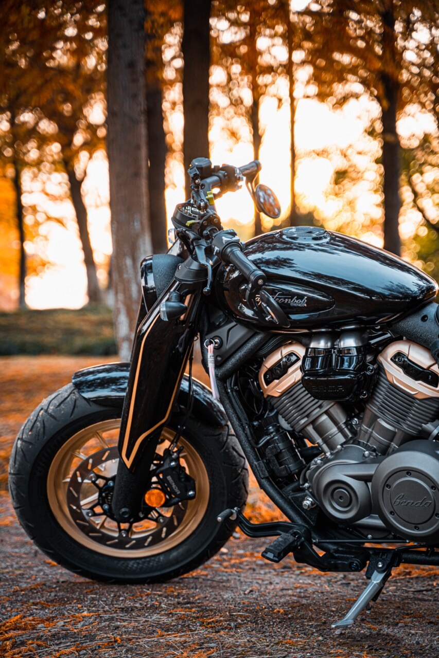 Benda Napoleon 500 Bobber, Phân Phối Chính Hãng, Giá Rẻ Tại Hải Phòng
