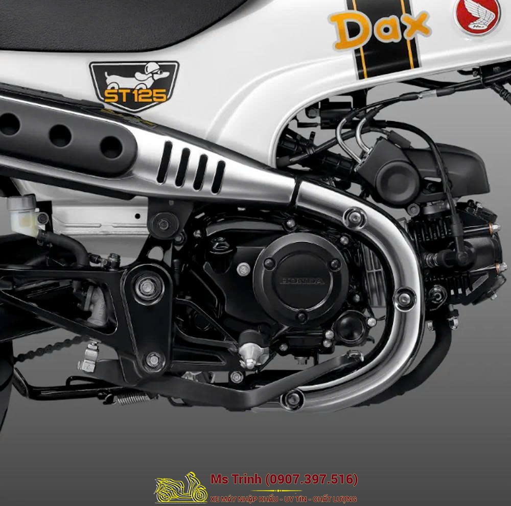 Honda Dax ST125 2026 tại Hải Phòng - Minibike huyền thoại khung T-Bone đầy cá tính