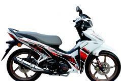 Honda Dash 125 2026 HRC 2026 tại Hải Phòng - Xe số thể thao mạnh, mượt, giá hợp lý